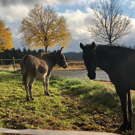 Dom wakacyjny Haus Johannes *