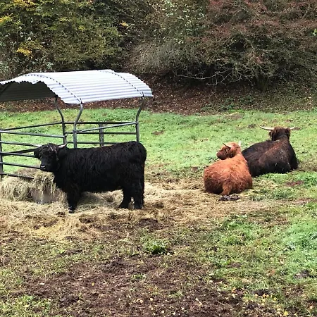 Haus Johannes Dom wakacyjny Deudesfeld