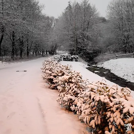 Haus Johannes Сasa de vacaciones *