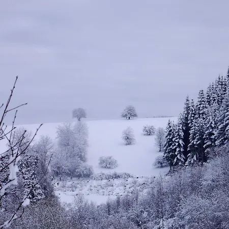 Haus Johannes * Deudesfeld