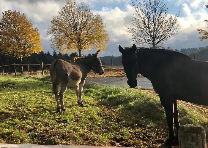 Dom wakacyjny Haus Johannes *