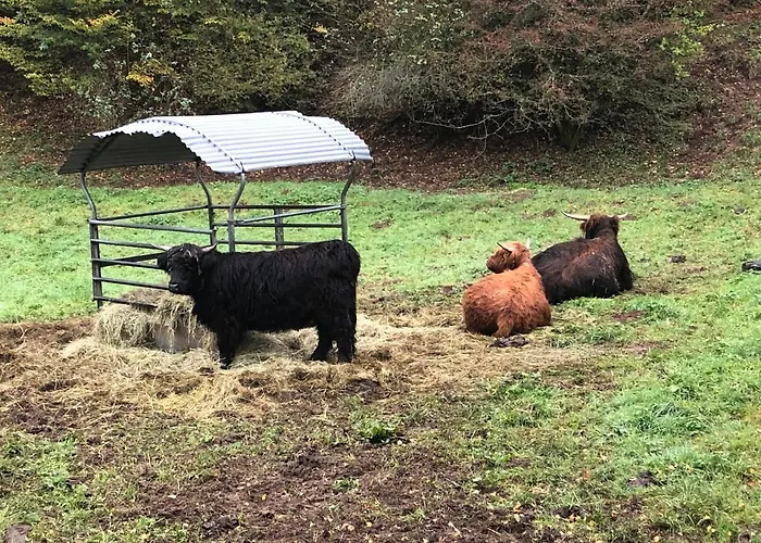 Haus Johannes Dom wakacyjny Deudesfeld