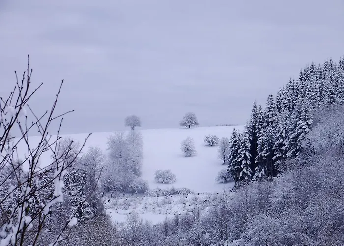 Haus Johannes * Deudesfeld